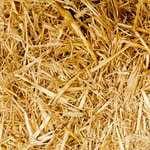 Dever número 2 – reflexão sobre o que favorece ao endividamento