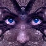 O medo do leite com a manga