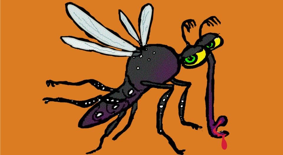 Mosquito prefere os pobres
